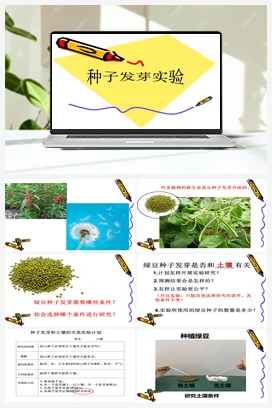 11《种子发芽实验》 课件 教科版小学科学五年级下册