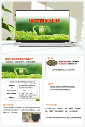 13《绿豆苗的生长》 课件 教科版小学科学五年级下册