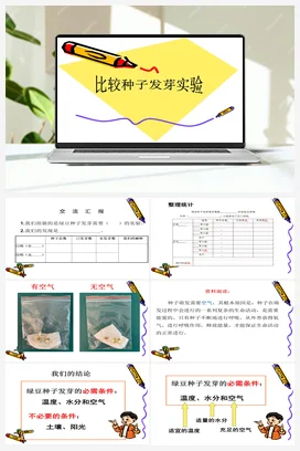 12《比较种子发芽实验》 课件 教科版小学科学五年级下册