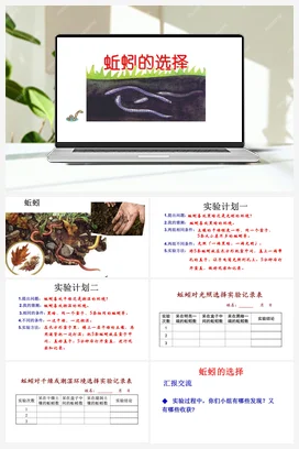 14《蚯蚓的选择》 课件 教科版小学科学五年级下册