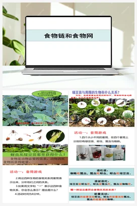 16《食物链与食物网》 课件 教科版小学科学五年级下册