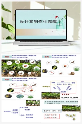 17《设计和制作生态瓶》 课件 教科版小学科学五年级下册
