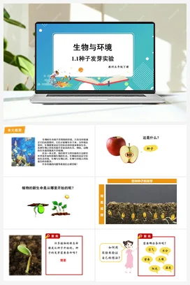 种子发芽实验 课件+教案 教科版小学科学五年级下册