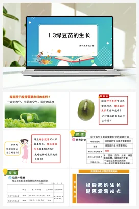 绿豆苗的生长 课件+教案 教科版小学科学五年级下册