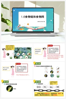 食物链和食物网 课件+教案 教科版小学科学五年级下册