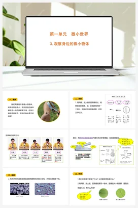 1.3 《观察身边的微小物体》 课件 教科版小学科学六年级上册