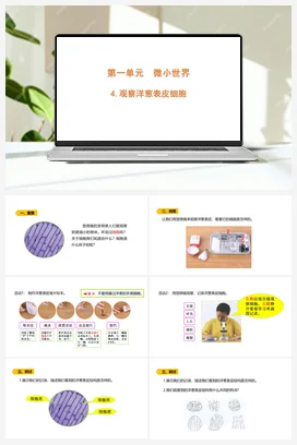 1.4 《观察洋葱表皮细胞》 课件 教科版小学科学六年级上册