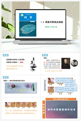 1.4 观察洋葱表皮细胞 课件+教学设计 教科版小学科学六年级上册