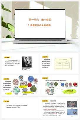 1.5 《观察更多的生物细胞》 课件 教科版小学科学六年级上册