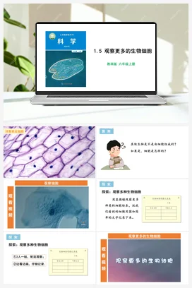 1.5 观察更多的生物细胞 课件+教学设计 教科版小学科学六年级上册