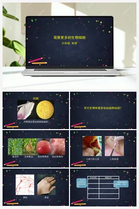 1.5观察更多的生物细胞 课件+教案+练习+任务单 教科版小学科学六年级上册