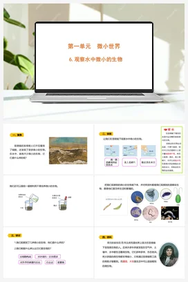 1.6 《观察水中微小的生物》 课件 教科版小学科学六年级上册