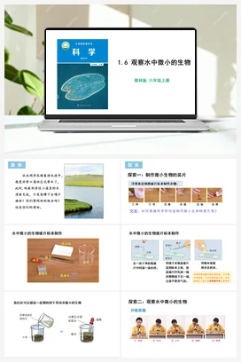 1.6 观察水中微小得生物 课件+教学设计 教科版小学科学六年级上册