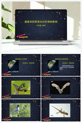 2.7 昼夜和四季变化对生物的影响 课件+教案+练习+任务单 教科版小学科学六年级上册