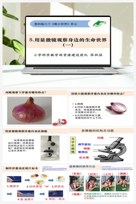 1.5《用显微镜观察身边的生命世界（一）》 课件+教案 教科版小学科学六年级下册