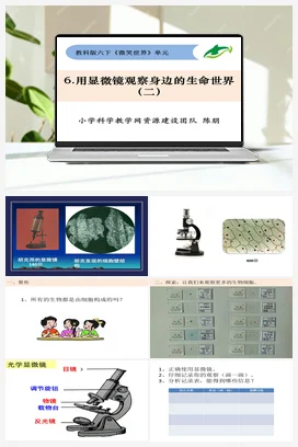 1.6用显微镜观察身边的生命世界二 陈朋 课件+教案 教科版小学科学六年级下册