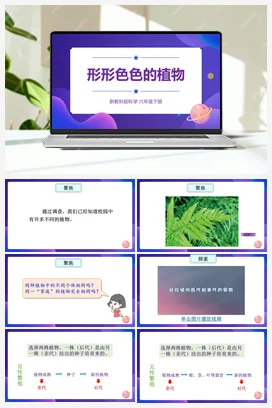 2.3.《形形色色的植物》（课件19ppt+视频+教案+素材） 教科版小学科学六年级下册