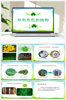 2.3《形形色色的植物》PPT课件+视频素材 教科版小学科学六年级下册