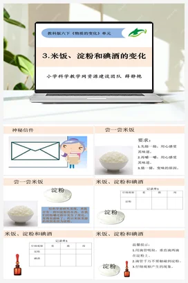 2.3《米饭、淀粉和碘酒的变化》 课件+教案 教科版小学科学六年级下册