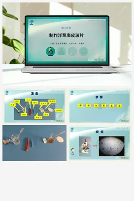 制作洋葱表皮玻片 课件+说课稿+视频 教科版小学科学六年级下册