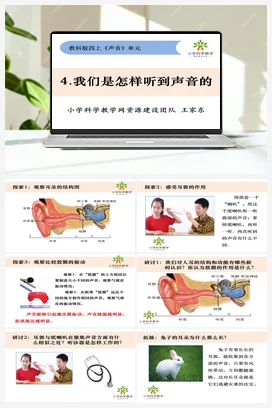 1-4.我们是怎样听到声音的 课件+教案 教科版小学科学四年级上册