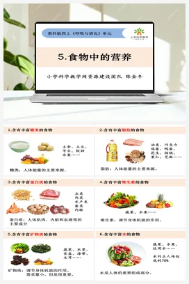 2.5《食物中的营养》 课件+教案 教科版小学科学四年级上册