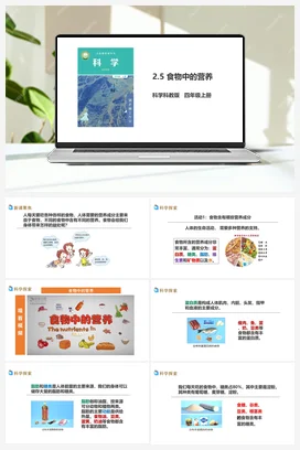 2.5《食物中的营养》教案+课件+练习题 教科版小学科学四年级上册