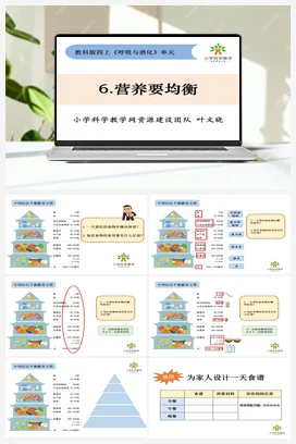 2.6《营养要均衡》 课件+教案 教科版小学科学四年级上册