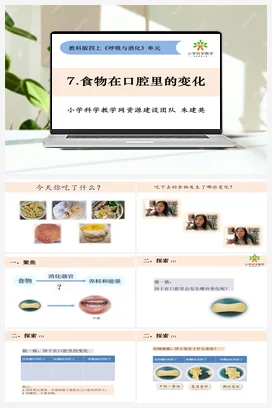 2.7《食物在口腔里的变化》 课件+教案 教科版小学科学四年级上册