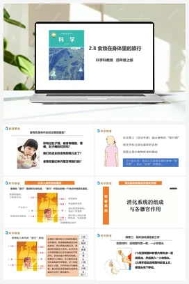 2.8《食物在身体里的旅行》教案+课件+练习题 教科版小学科学四年级上册