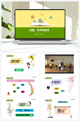 4.2 骨骼、关节和肌肉（课件+教案+练习） 教科版小学科学四年级上册