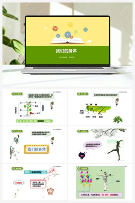 4.1 身体的结构 （课件+教案+练习） 教科版小学科学四年级上册