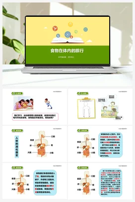 4.5食物在体内的旅行 （课件+教案+练习） 教科版小学科学四年级上册
