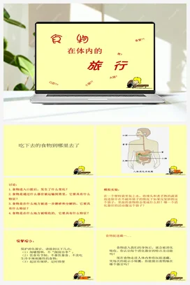 5.食物在体内的旅行 课件+教案 教科版小学科学四年级上册