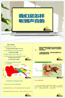 6.我们是怎样听到声音的 课件+教案 教科版小学科学四年级上册