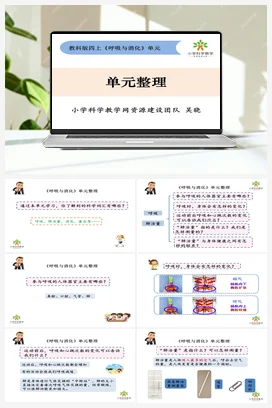 《呼吸与消化》单元整理 课件+教案 教科版小学科学四年级上册