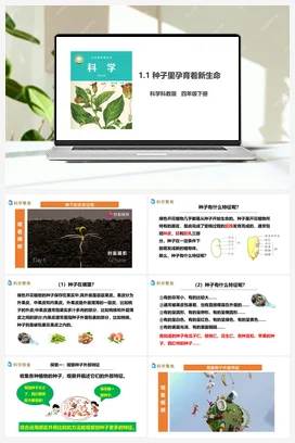 1.1《种子里孕育着新生命》课件 教科版小学科学四年级下册