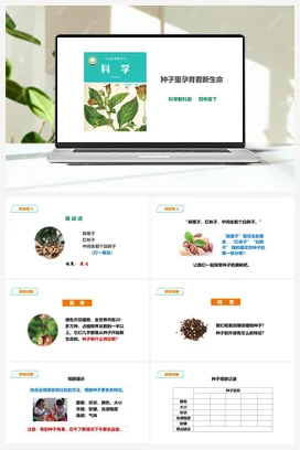 1.1《种子里孕育着新生命》课件（30张PPT）+教案+练习+素材 教科版小学科学四年级下册