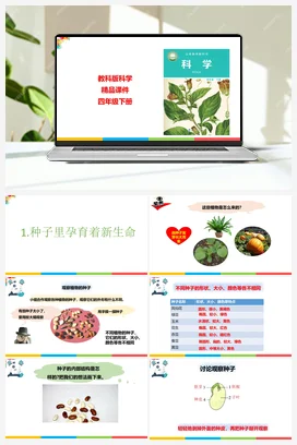 1.1种子里孕育着新生命 课件+教案 教科版小学科学四年级下册