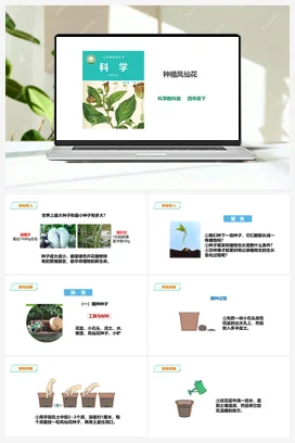 1.2《种植凤仙花》课件（25张PPT）+教案+练习+素材 教科版小学科学四年级下册