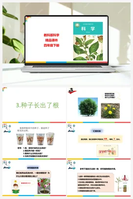 1.3种子长出了根 课件+教案 教科版小学科学四年级下册