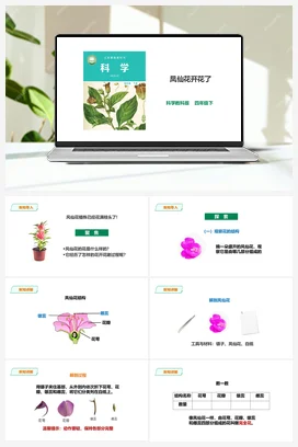 1.5《凤仙花开花了》课件（28张PPT）+教案+练习+素材 教科版小学科学四年级下册