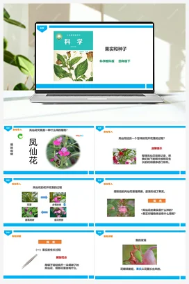 1.6《果实和种子》课件（27张PPT）+教案+练习+素材 教科版小学科学四年级下册