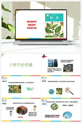 1.7种子的传播 课件+教案 教科版小学科学四年级下册