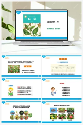1.8《凤仙花的一生》课件（29张ppt）+教案+练习+素材 教科版小学科学四年级下册