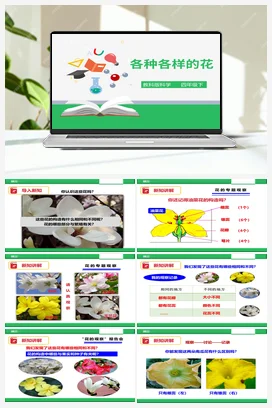 2.2 各种各样的花（课件+教案+练习） 教科版小学科学四年级下册