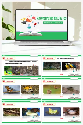 2.7 动物的繁殖活动（课件+教案+练习） 教科版小学科学四年级下册