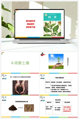 3.6观察土壤 课件+教案 教科版小学科学四年级下册
