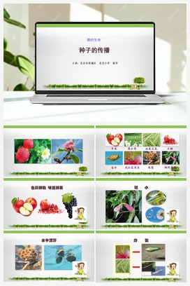 4.种子的传播 课件+教案 教科版小学科学四年级下册
