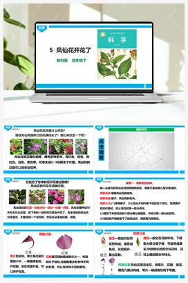 《凤仙花开花了》教案 教科版小学科学四年级下册